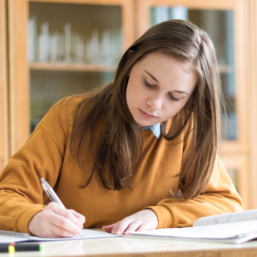 Students learning at desk