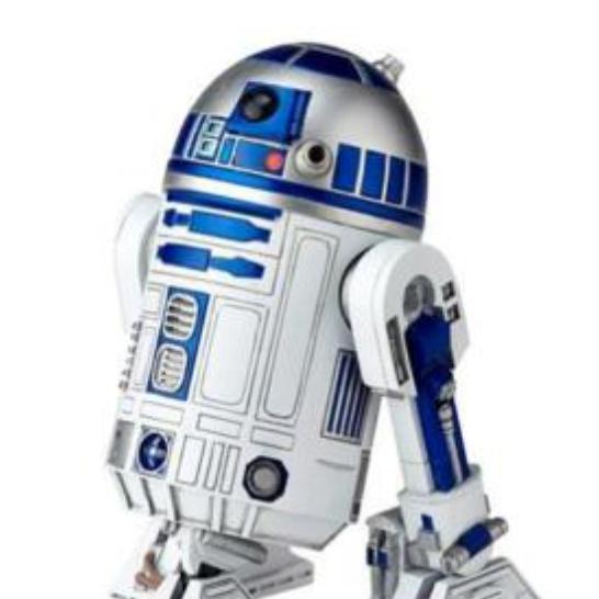 R2D2 Aqsa